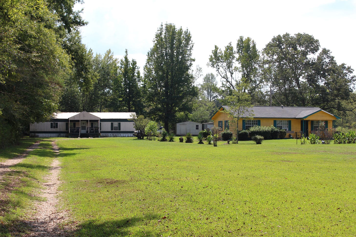 A dirt road leads to single-story white house and a yellow house is to the right. Trees are to the left and behind the houses and a large expanse of grass with a few bushes and plants is in front of the houses. A dirt road leads to single-story white house and a yellow house is to the right. Trees are to the left and behind the houses and a large expanse of grass with a few bushes and plants is in front of the houses.