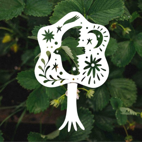 Taylor Parra and The Still Room 