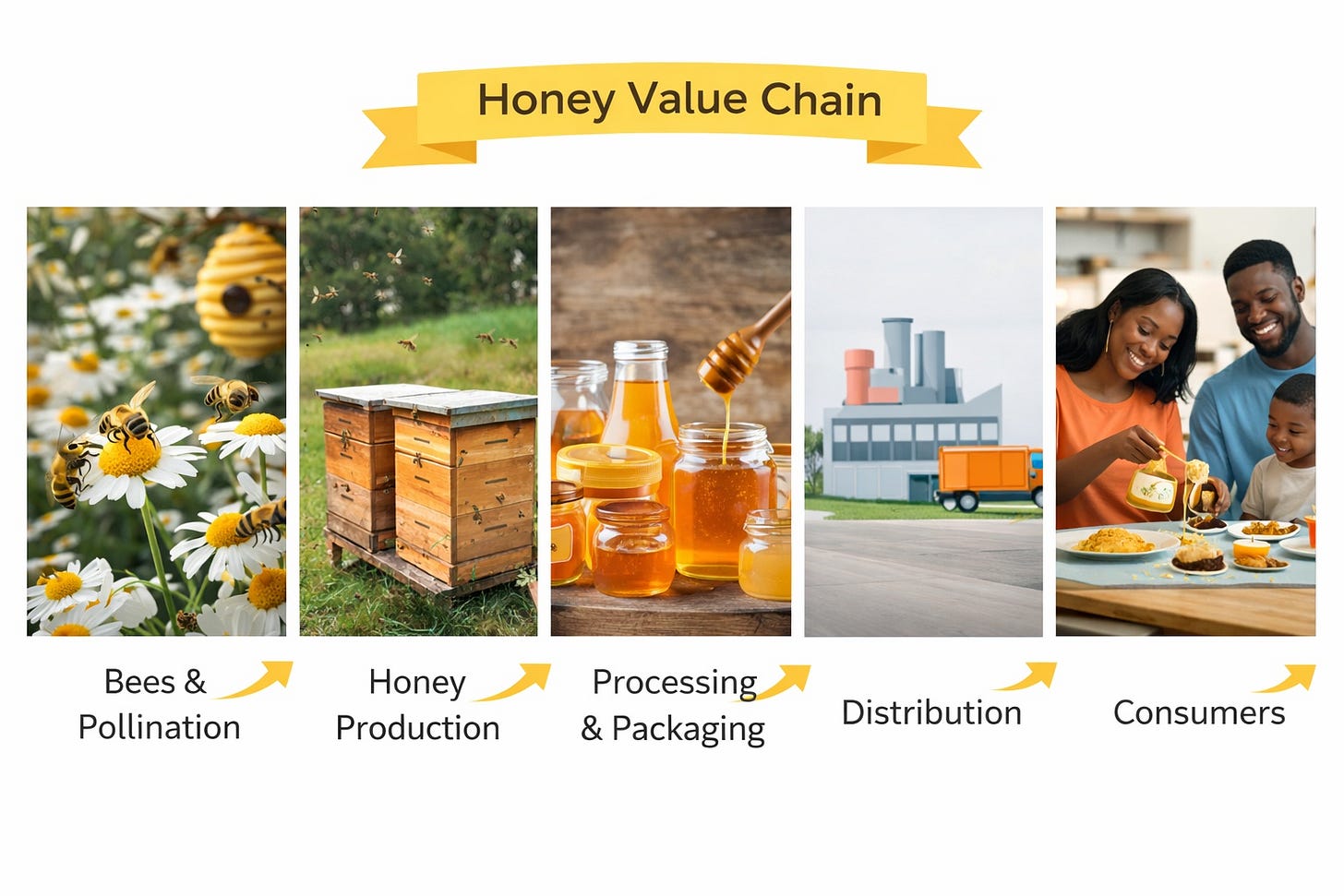 Illustration for an environmental economics post on the value of bee pollination and the honey market. Illustration for an environmental economics post on the value of bee pollination and the honey market.