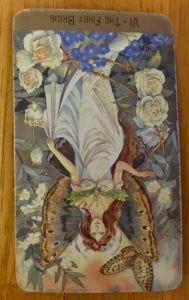 tarot card reading tarot card reading