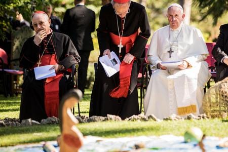 Pope Francis' Words Announcing Pachamama Recovery| National Catholic  Register