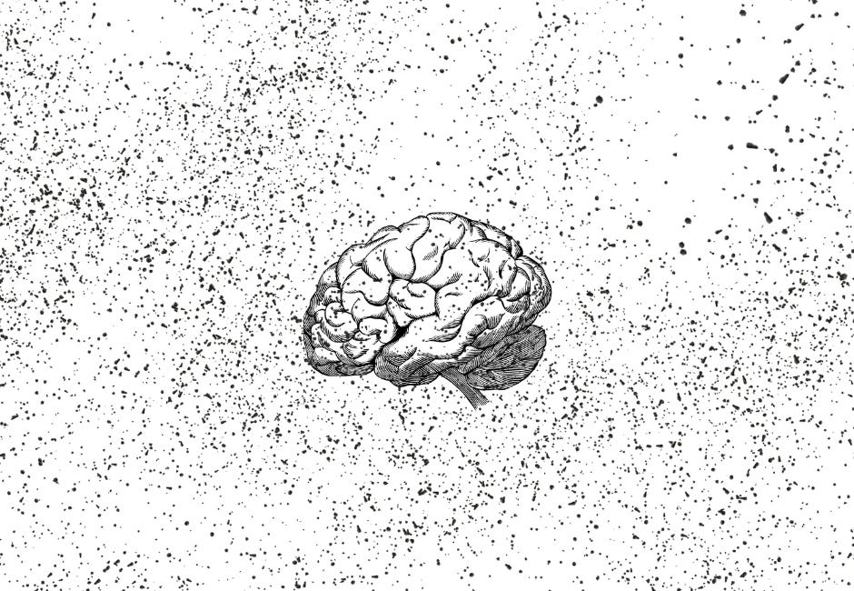 The Psychology Of Values 