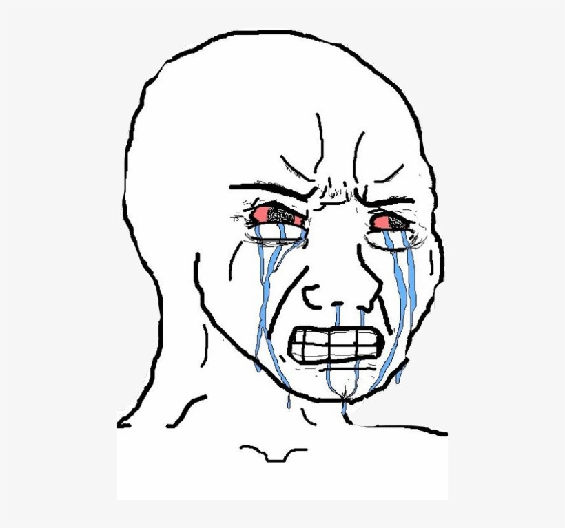 Rage Crying Meme Transparent PNG - 480x687 - Free Download on NicePNG
