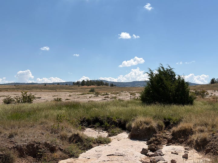 Images of the author’s time hiking, horseback riding, camping, fihsing, etc. in and around Laramie, WY