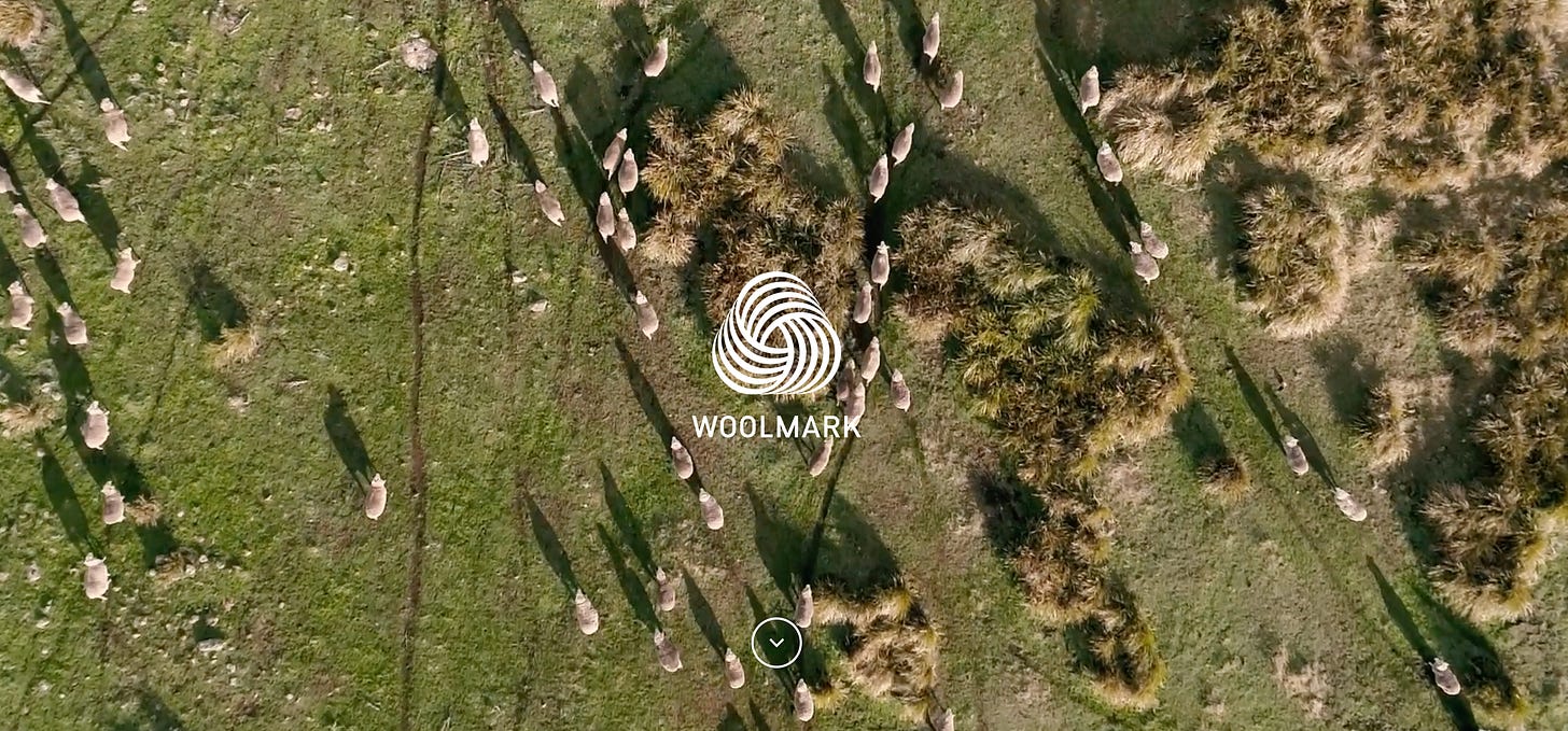 Aerial shot of sheep from The Woolmark Company Aerial shot of sheep from The Woolmark Company