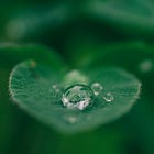 From Professor to Scholarpreneur: What I Learned Along the Way | Ep. 20