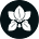 MIDORI's avatar