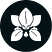 MIDORI's avatar