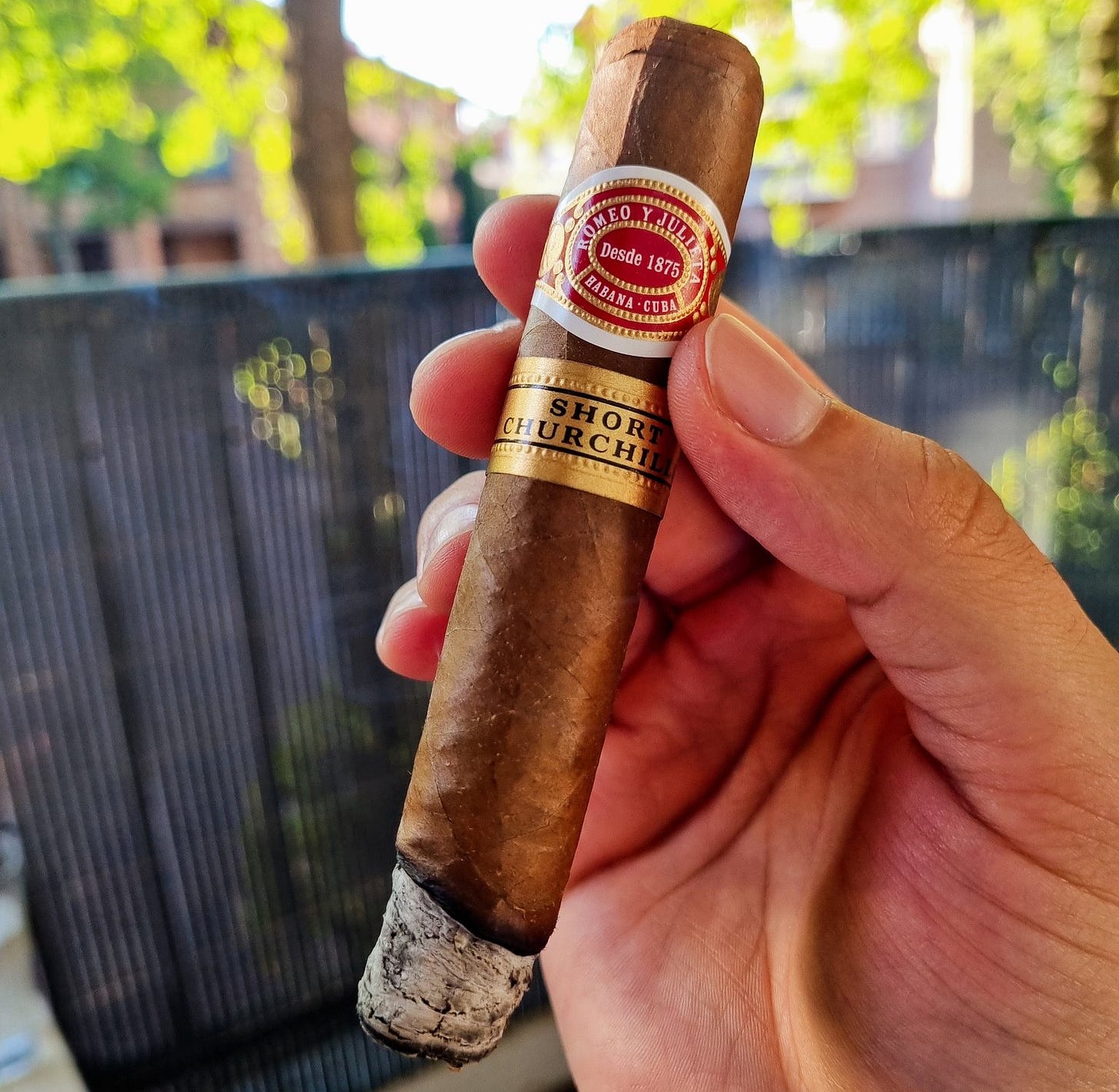 Adem on Twitter: "My absolute favourite #cigar Romeo Y Julieta Short  Churchill 🇨🇺💨 https://t.co/vStnU45oWA" / Twitter