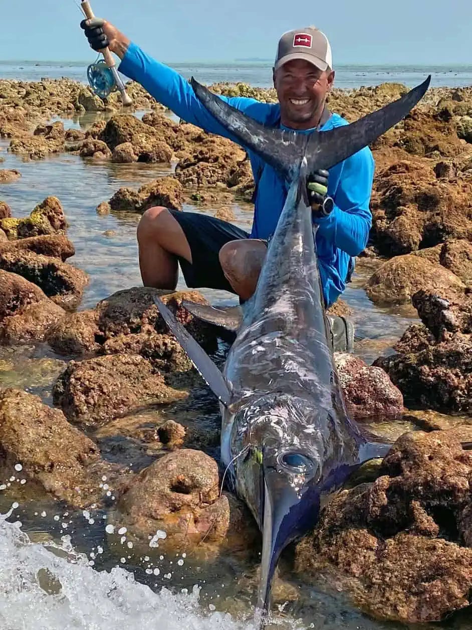 swordfish caught from shore while fly fishing