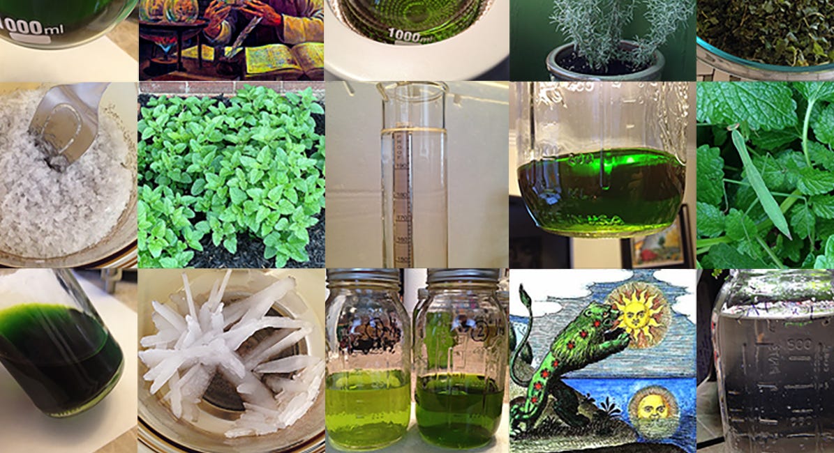 Primum Ens Plant Alchemy Training