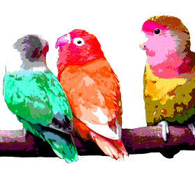 4. Kaitlyn Seeks Work-Life Balance