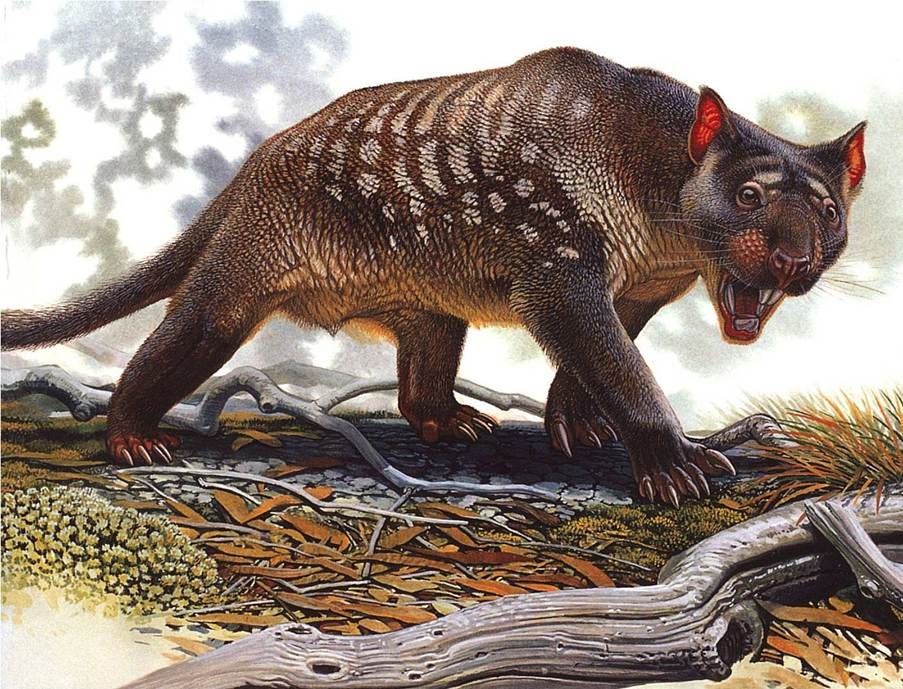 Megafauna - Caustic Soda Megafauna - Caustic Soda