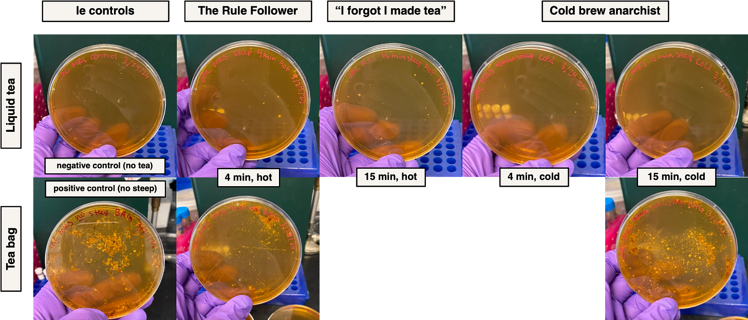 A collage of a person holding a petri dish

AI-generated content may be incorrect.