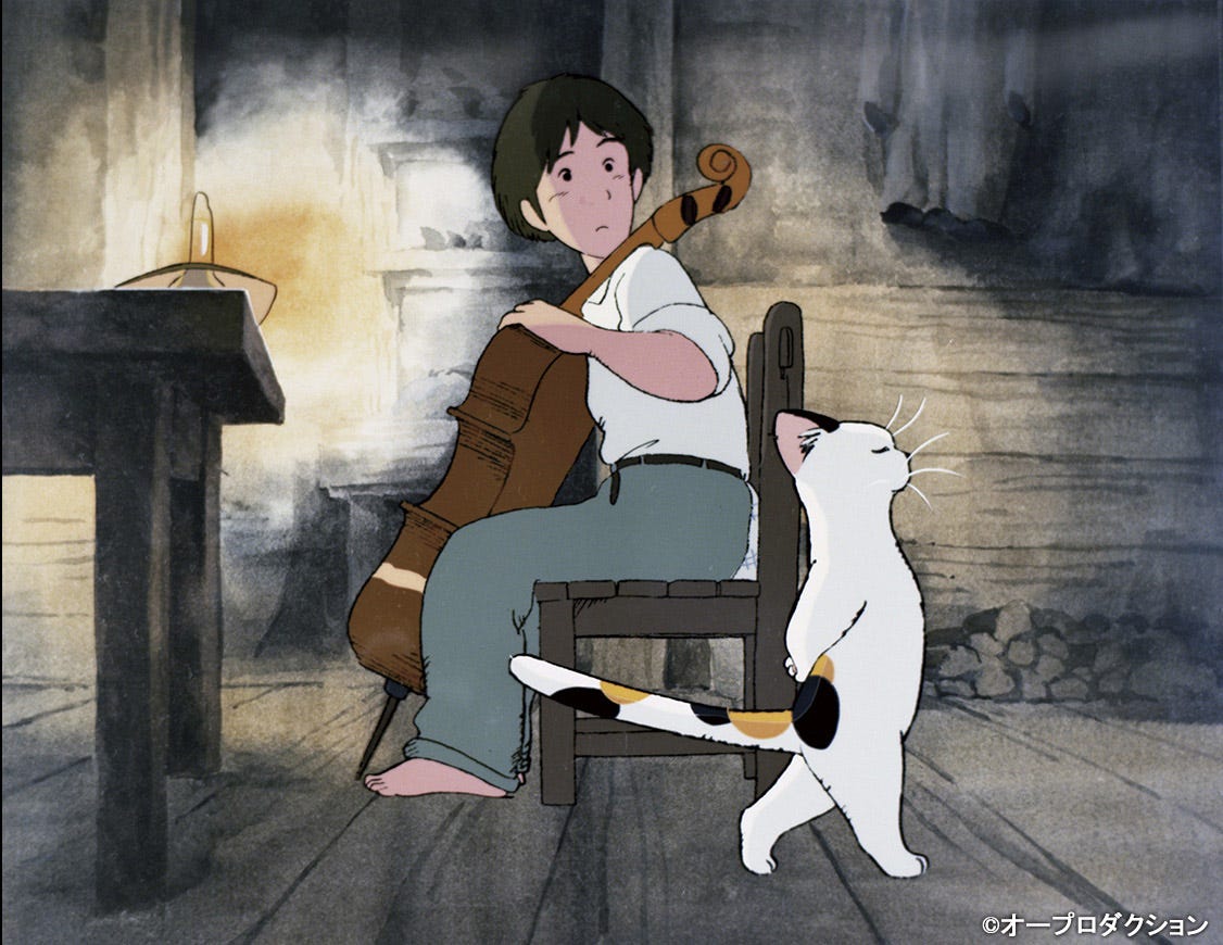 Gauche the Cellist | Ghibli Wiki | Fandom