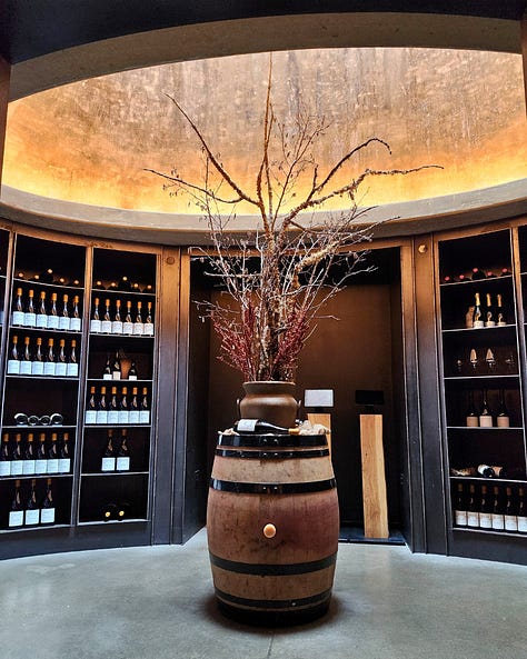 Luxury winery tour, beautiful cellar, vineyard soil, and Oregon wine country hospitality