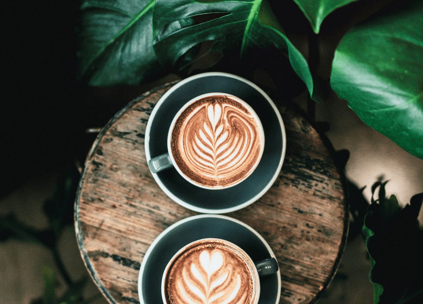 2 cups of coffee and greenery