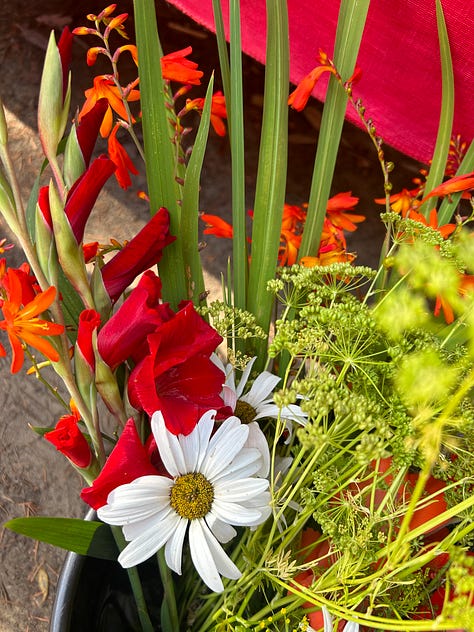 colorful flowers
