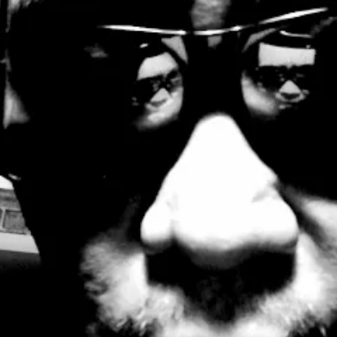 Jimi & the Galactic Empire 