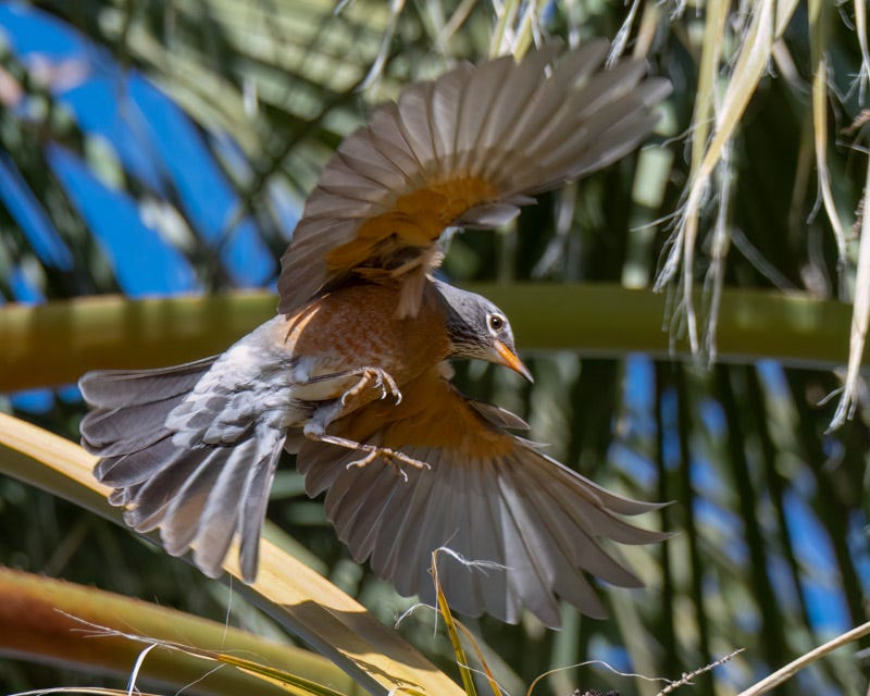 230104-misc-160-Edit.jpg 230104-misc-160-Edit.jpg