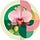 The Highly Sensitive Life