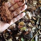 Pigment hunting in the Narnian hills