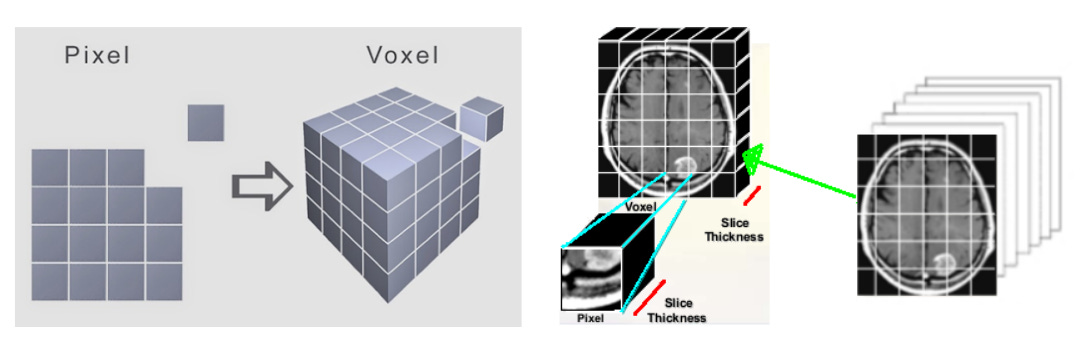 Conceptual image to show how the brain would be cut into 3-D cubes called voxels. Conceptual image to show how the brain would be cut into 3-D cubes called voxels.