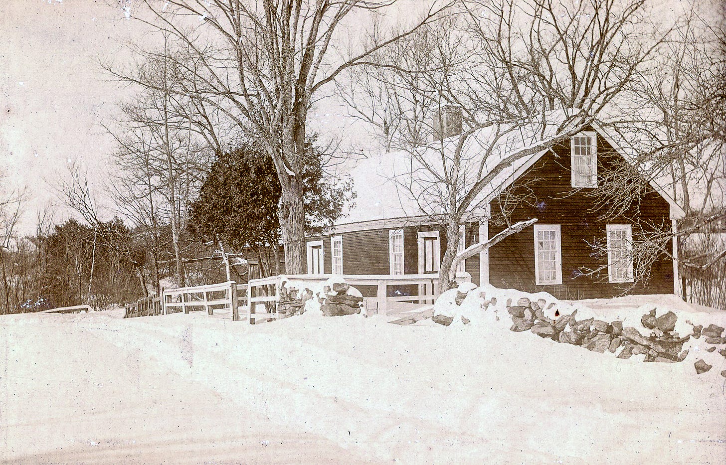 A winter scene