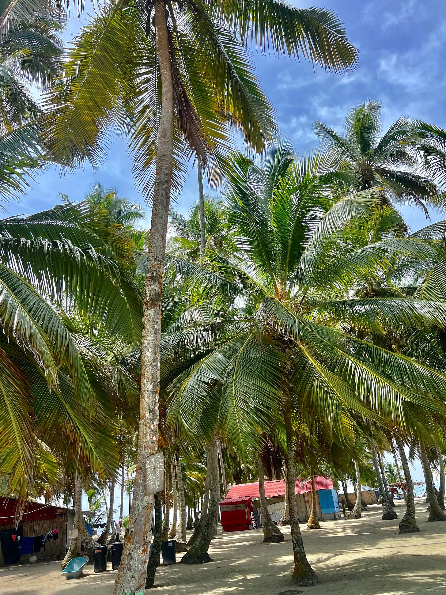 How I Spent A Weekend in Panamá City, Panamá 🇵🇦