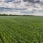 USDA To Provide $700 Million For New Regenerative Farming Projects, But Is It A Ploy For Corporate Powers To Seize More Land? 