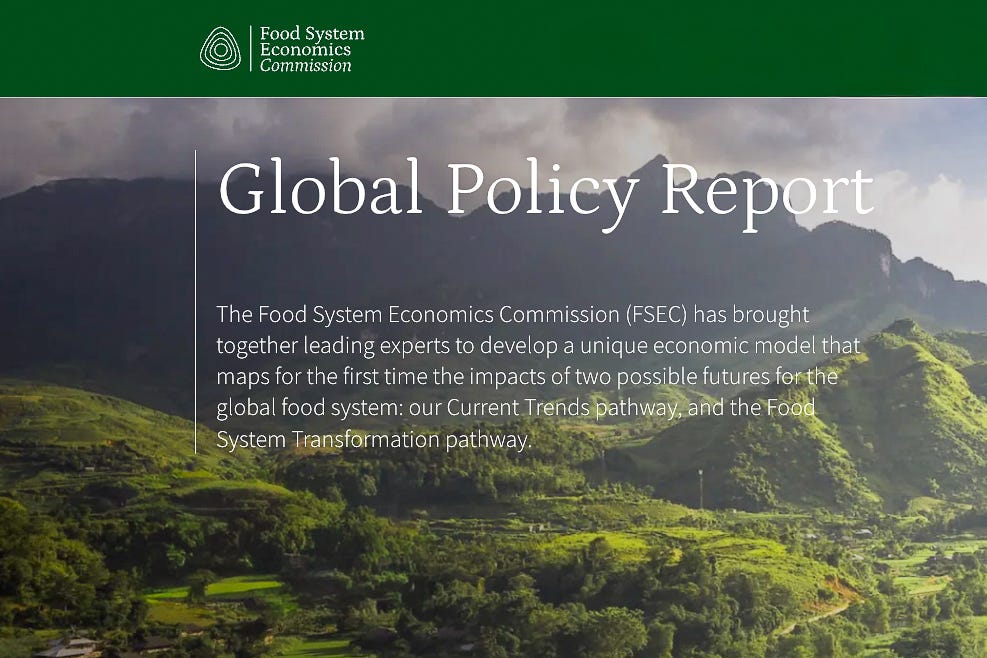 Titelseite des Global Policy Report der Food System Economics Commission (FSEC). Im Hintergrund ist eine grüne, terrassierte Landschaft mit Bergen und Wolken zu sehen, darüber weisser Text auf transparentem Hintergrund mit dem Titel und einer Beschreibung des Berichts: Die Food System Economics Commission (FSEC) hat führende Expertinnen und Experten zusammengebracht, um ein einzigartiges Wirtschaftsmodell zu entwickeln, das erstmals die Auswirkungen zweier möglicher Zukunftsszenarien für das globale Ernährungssystem aufzeigt: den Weg der aktuellen Trends und den Weg der Transformation des Ernährungssystems. Titelseite des Global Policy Report der Food System Economics Commission (FSEC). Im Hintergrund ist eine grüne, terrassierte Landschaft mit Bergen und Wolken zu sehen, darüber weisser Text auf transparentem Hintergrund mit dem Titel und einer Beschreibung des Berichts: Die Food System Economics Commission (FSEC) hat führende Expertinnen und Experten zusammengebracht, um ein einzigartiges Wirtschaftsmodell zu entwickeln, das erstmals die Auswirkungen zweier möglicher Zukunftsszenarien für das globale Ernährungssystem aufzeigt: den Weg der aktuellen Trends und den Weg der Transformation des Ernährungssystems.