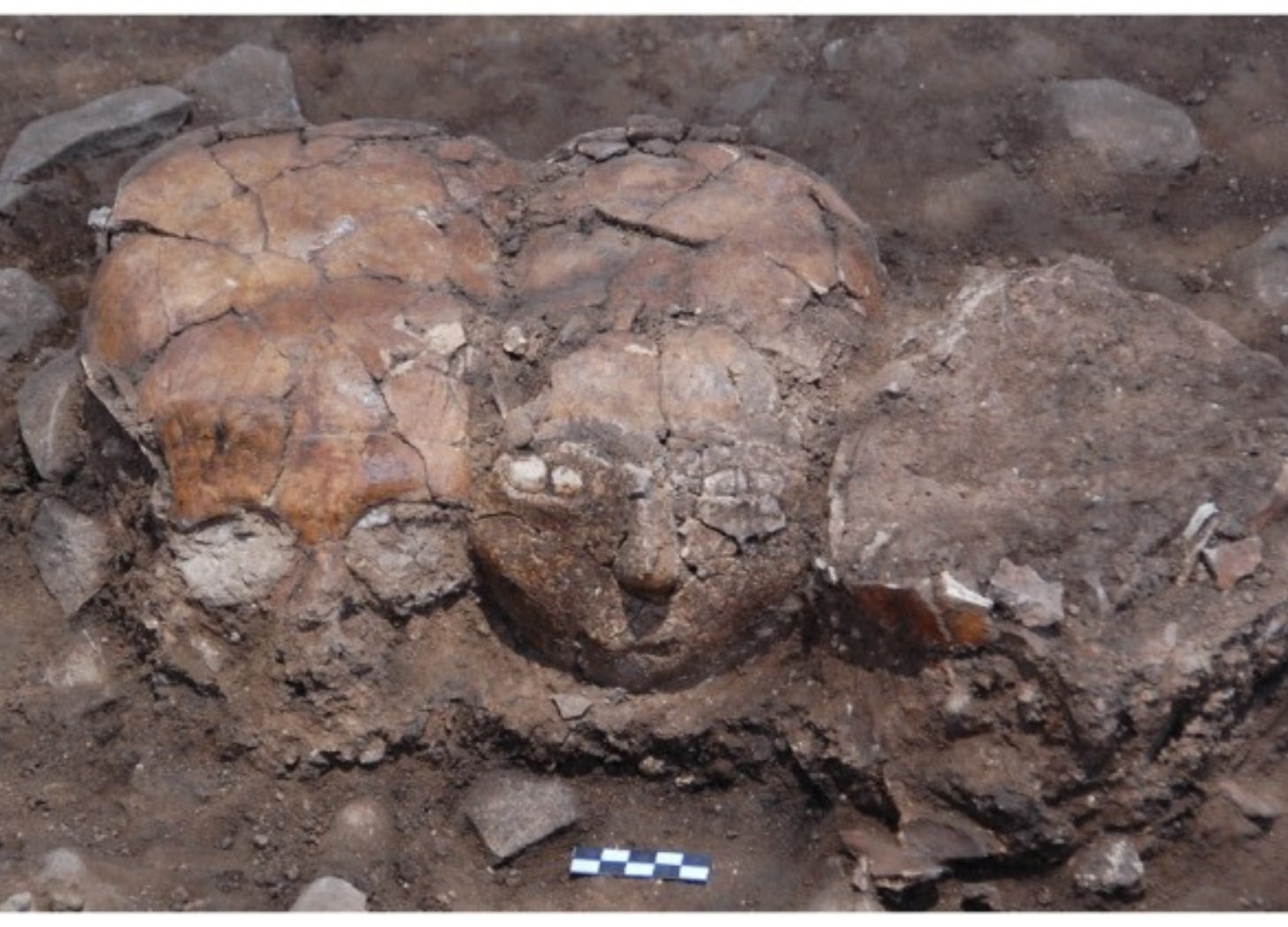 The plastered skulls are facing west The plastered skulls are facing west