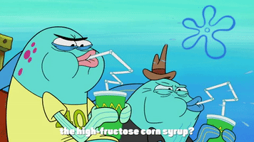 season 9 lost in bikini bottom GIF by SpongeBob SquarePants