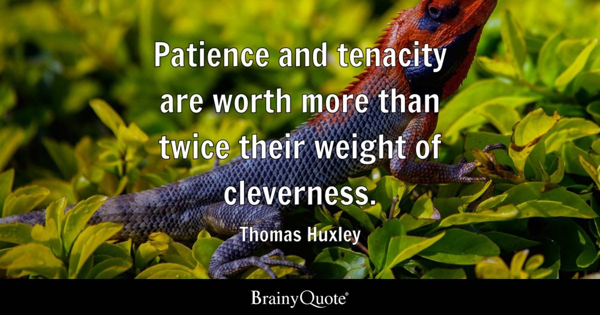 Patience and tenacity are worth more than twice their weight of cleverness.