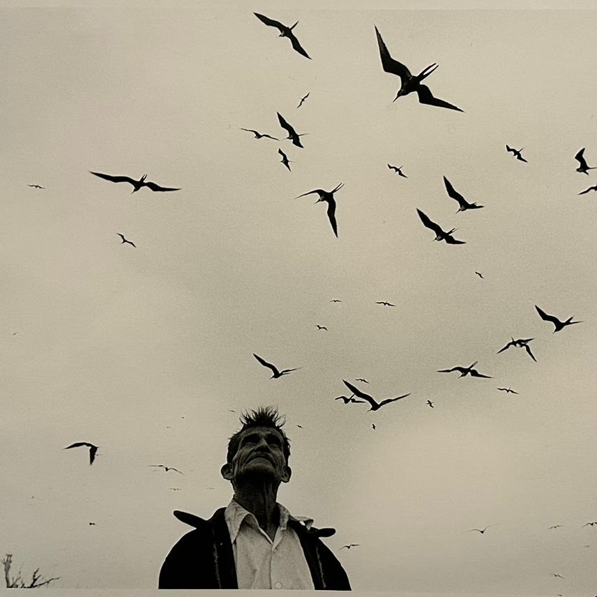 Fernando Lelo de Larrea