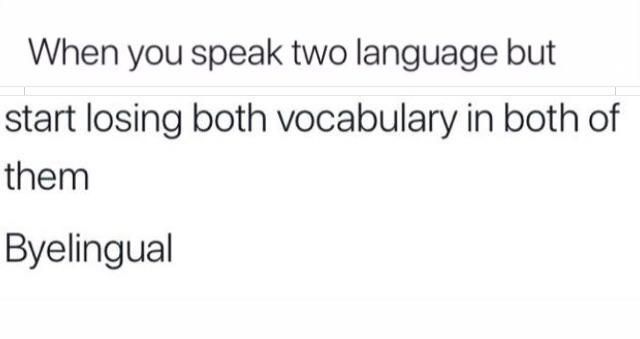 Byelingual! 👋 : r/memes