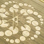 Who, what, where am I?