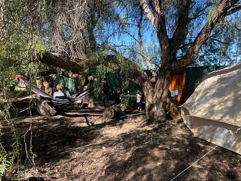Photos from the first day of Behere enrichment in 2023
