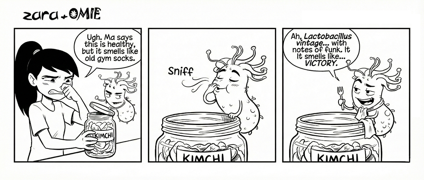 Zara holds her nose as she opens a jar of kimchi, complaining about the smell. Omie sniffs deeply and happily describes the funky fermented aroma as “Lactobacillus vintage” and a sign of victory.