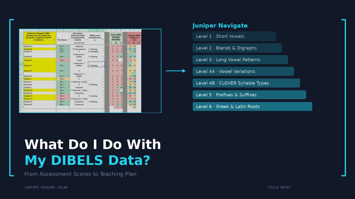 What Do I Do With My DIBELS Data? How to Turn Phonics Assessment ...