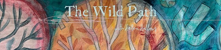 The Wild Path by Helen Hallows