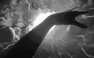 no escape destiny GIF no escape destiny GIF