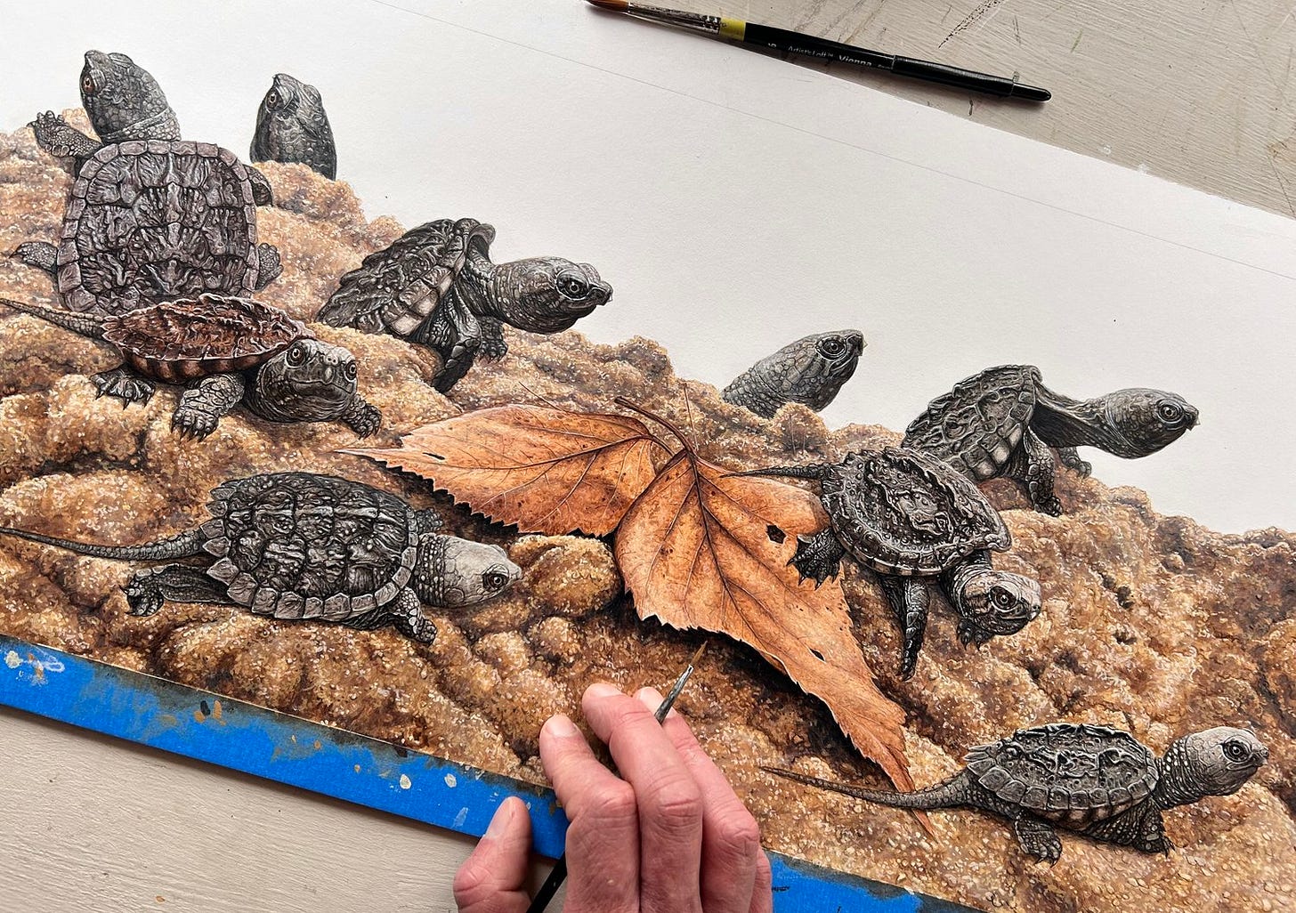 A hand holding a painting of turtles

Description automatically generated