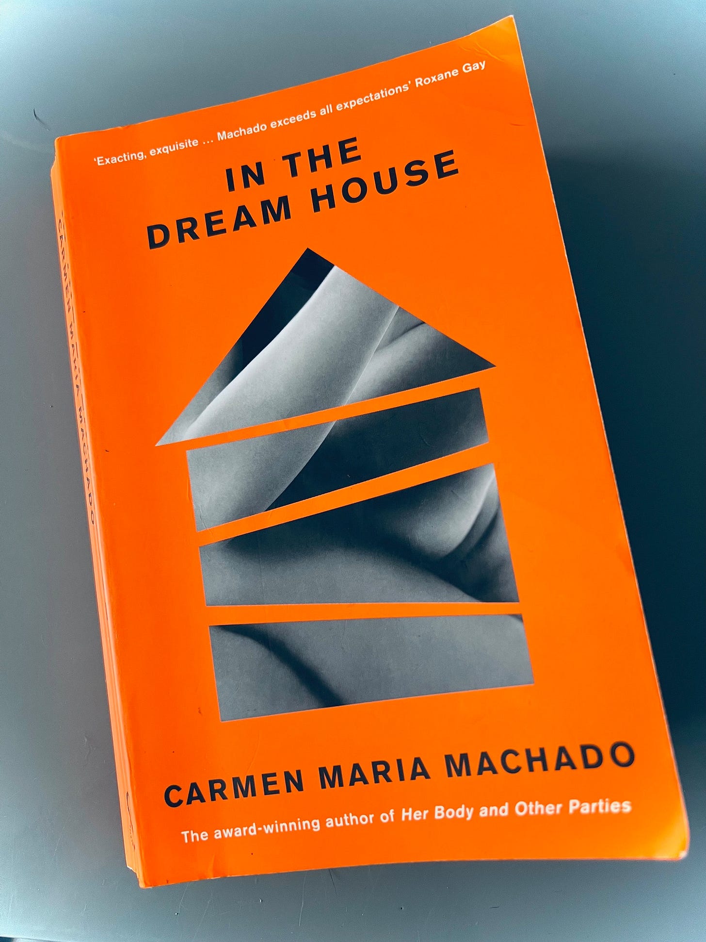 In the Dream House book cover