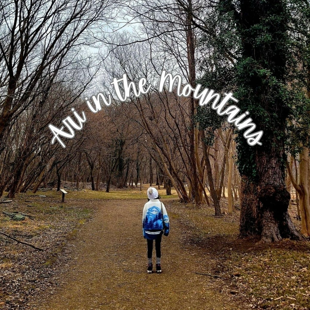 Ari In The Mountains logo