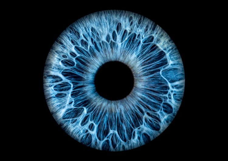 Iris photo