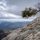 Building Resilience in the Workplace: Strategies for Coping with Change