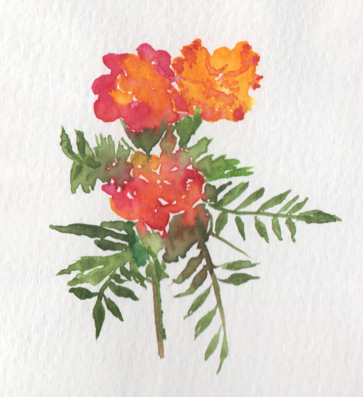 A watercolor painting of flowers

Description automatically generated