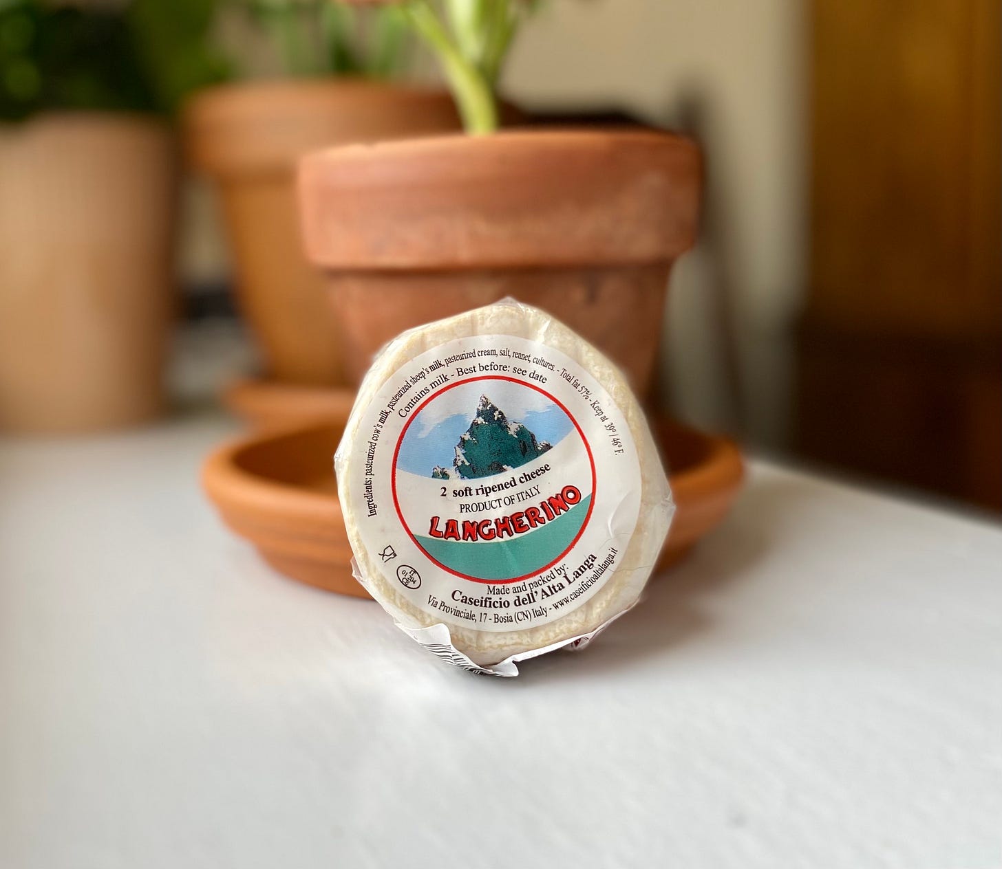 Langherino wheel of cheese in front of terra cotta pots