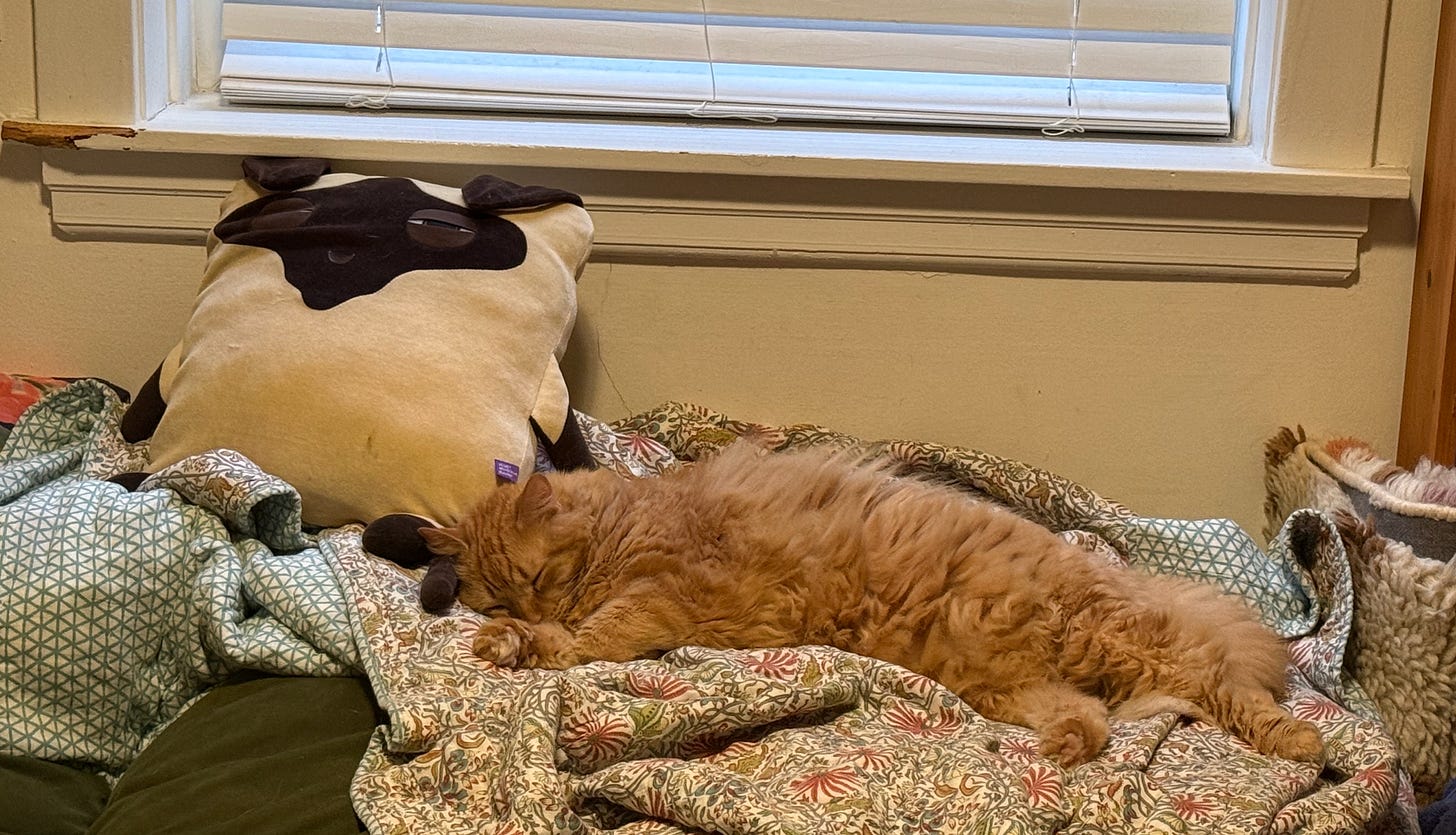 orange floof sacked out on bed next to a big square plush cat orange floof sacked out on bed next to a big square plush cat